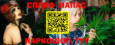 гидра Заводоуковск