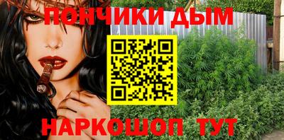 гидра Заводоуковск
