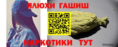 гидра Заводоуковск