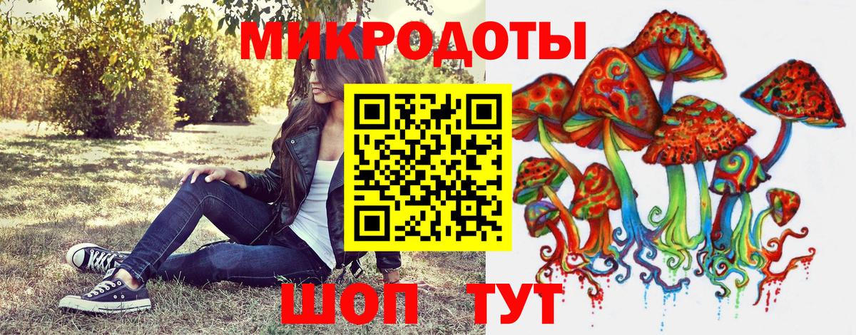 Галлюциногенные грибы мухоморы Михайловск